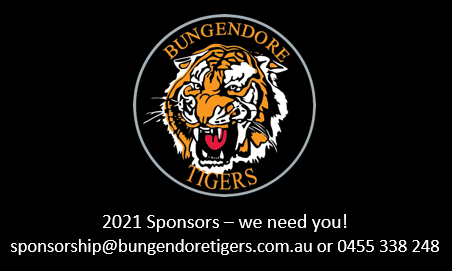 2021 sponsors wanted