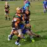 Goulburn Carnival March 2021