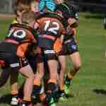 Goulburn Carnival March 2021