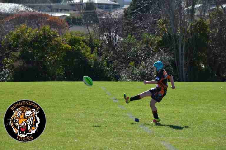 Read more about the article Juniors: Round 6 Match Report
