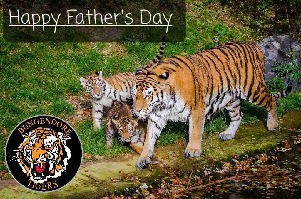 Read more about the article Happy Father’s Day