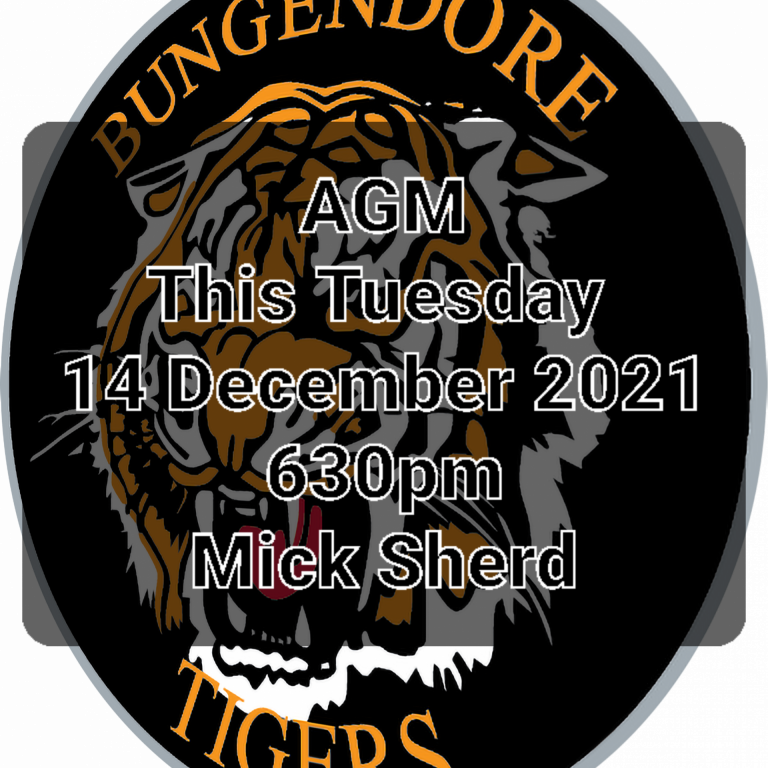 Read more about the article Juniors: AGM only a couple of days away!