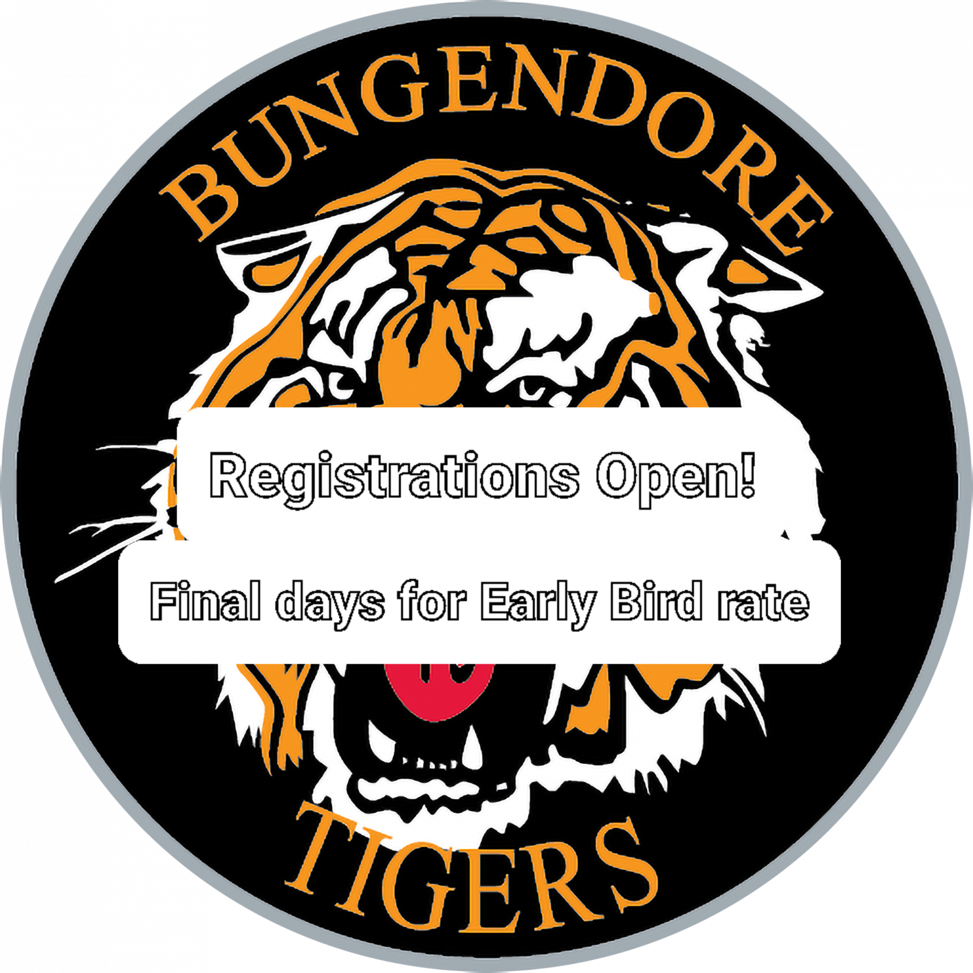 Read more about the article Juniors: 2022 regos open, early bird rate final days