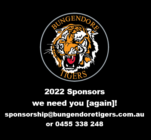 Read more about the article Juniors: 2022 sponsors wanted