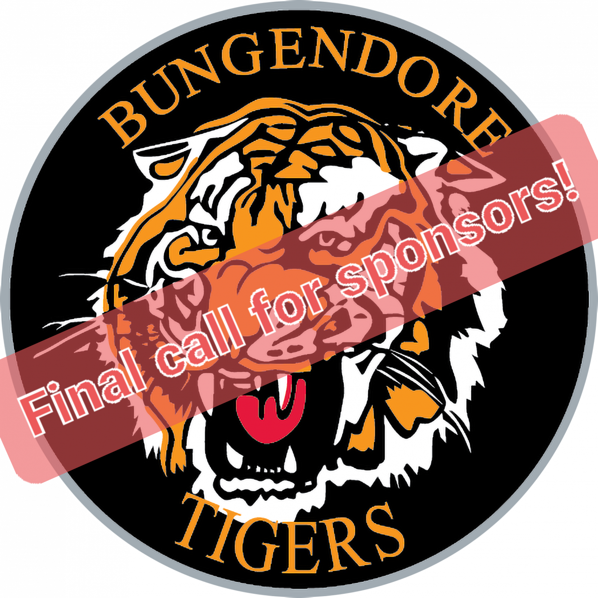 Read more about the article Juniors: Final call for sponsors