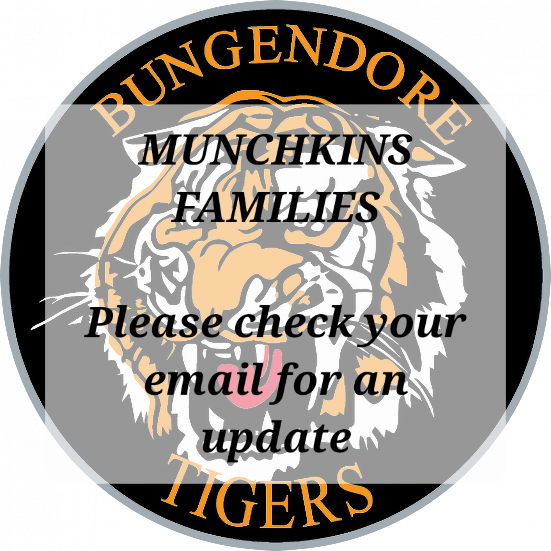 Read more about the article Juniors: Munchkins 2022
