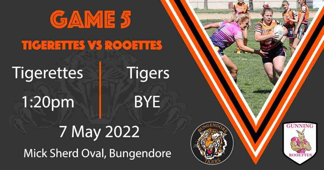 Read more about the article Seniors: Round 5 game