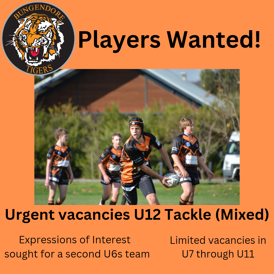 Read more about the article Juniors: Players wanted!