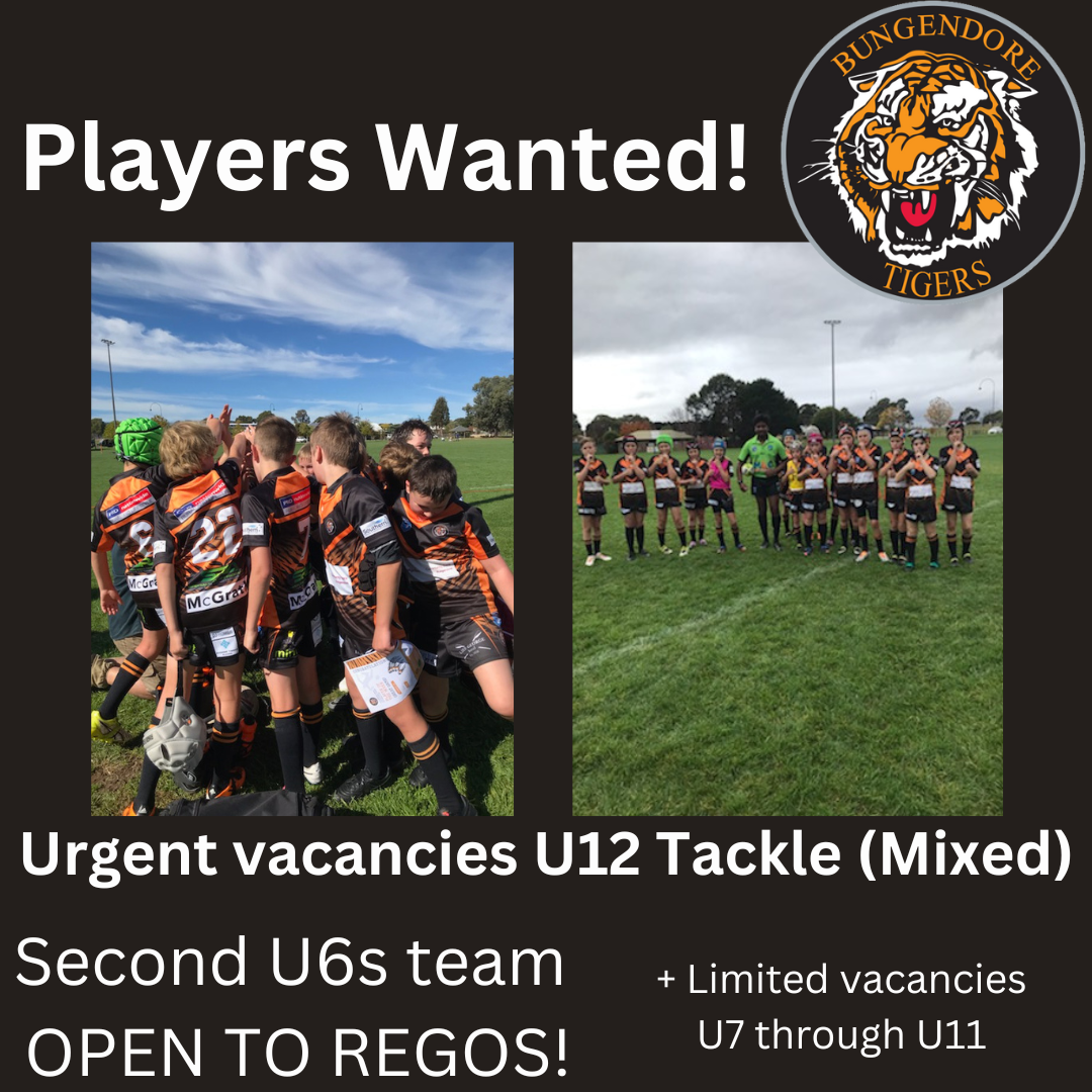 Read more about the article Juniors: U6s regos available; players wanted