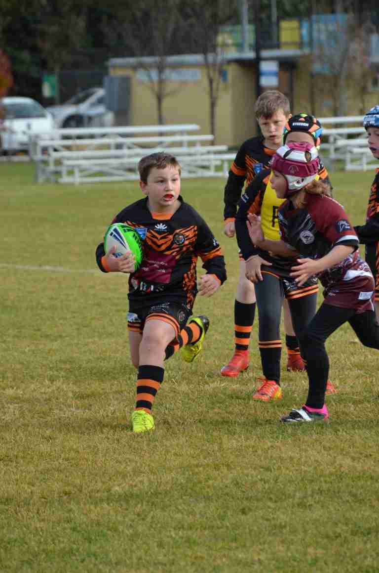 Read more about the article Juniors: Round 5 match reports
