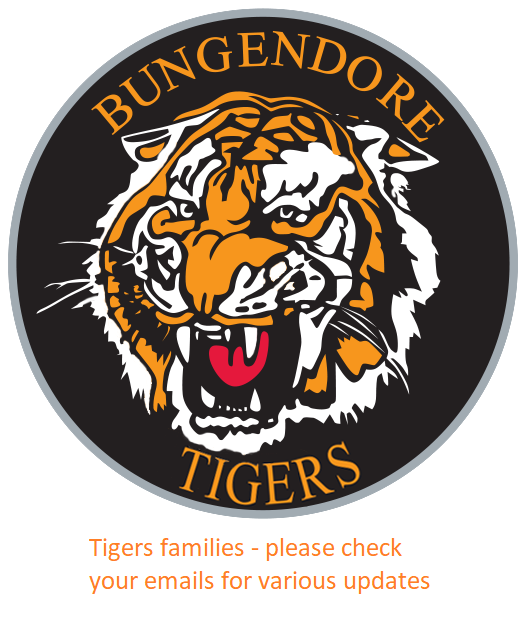 Read more about the article Juniors: Update email sent to families