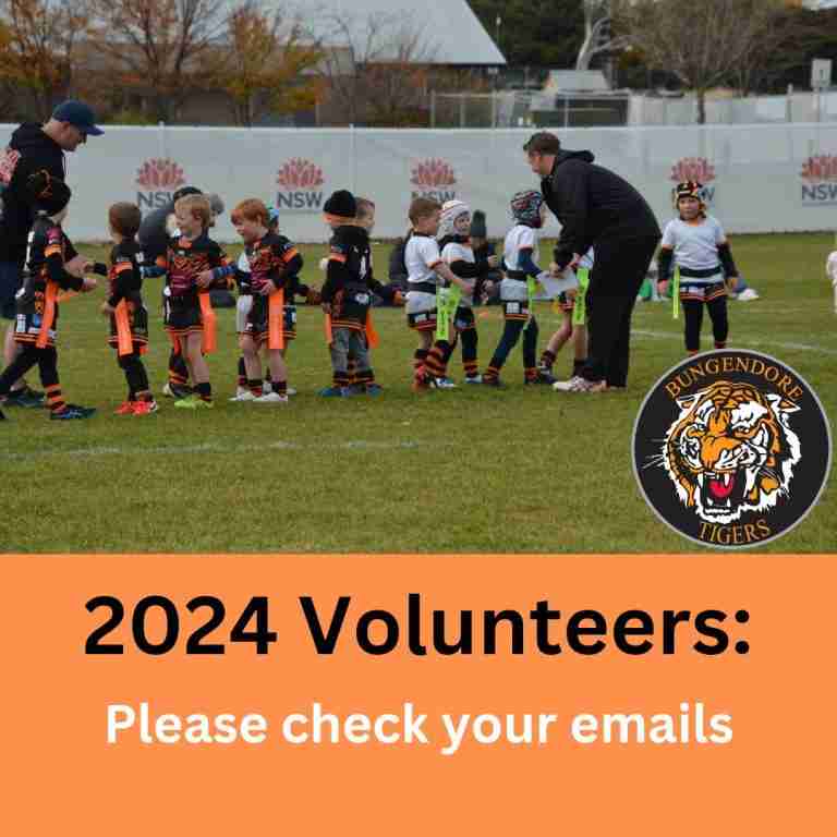 Read more about the article Juniors: Volunteers email