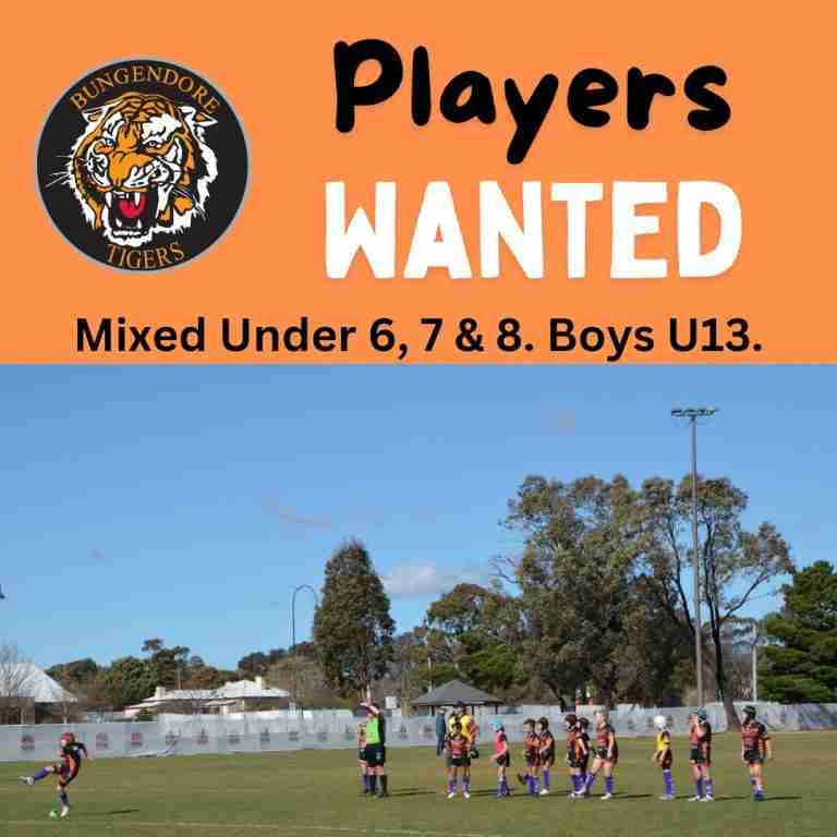 Read more about the article Juniors: Players wanted